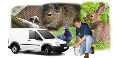 Chafford Hundred local van